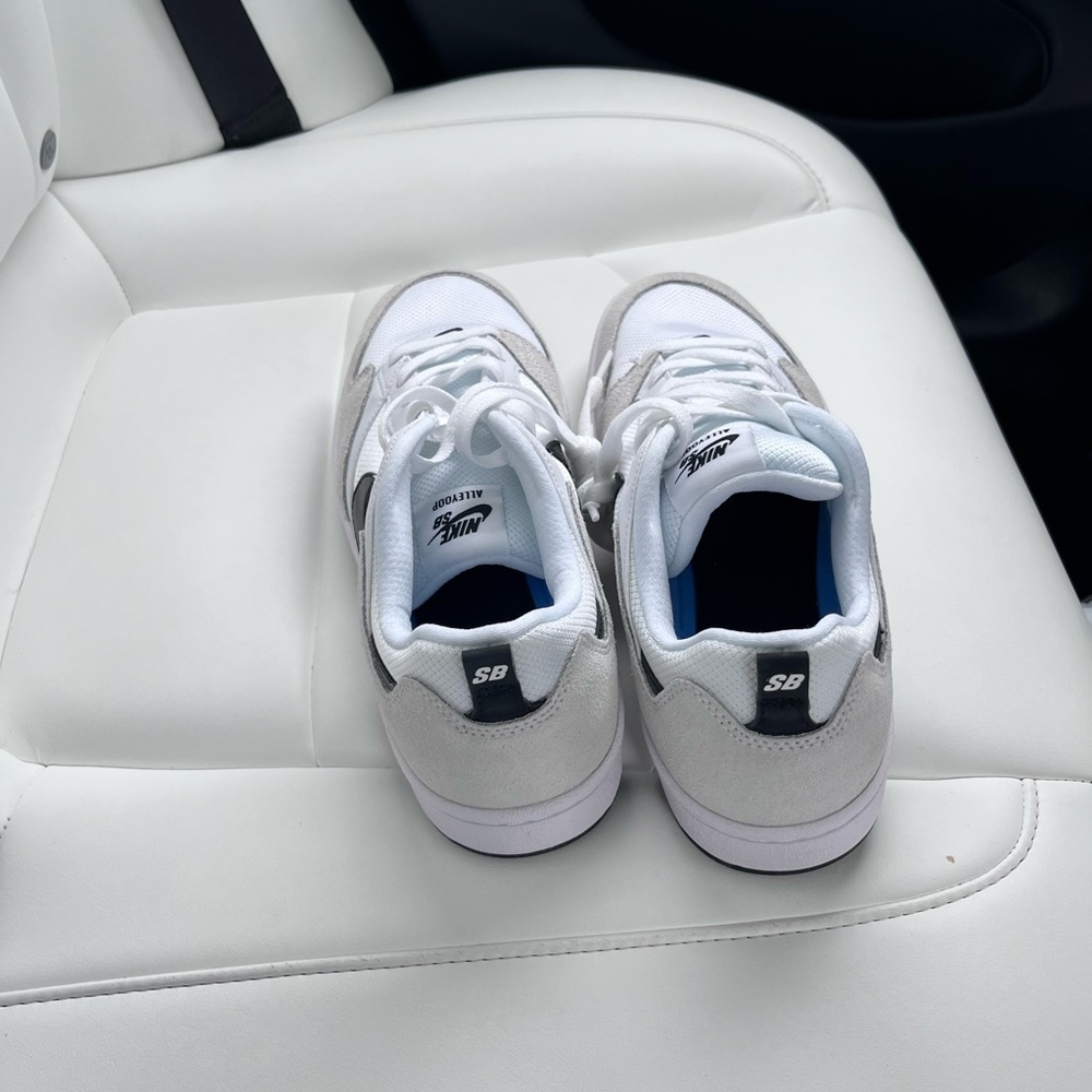 Nike dunk sb alley oop 9.5 brand new